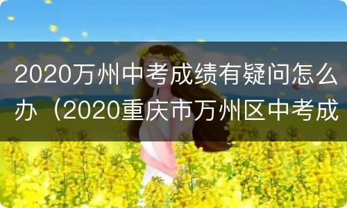 2020万州中考成绩有疑问怎么办（2020重庆市万州区中考成绩）