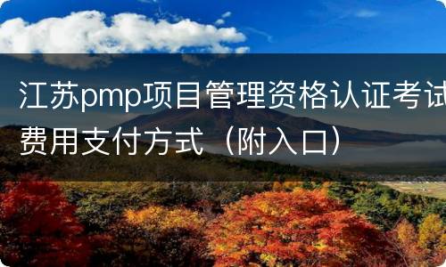 江苏pmp项目管理资格认证考试费用支付方式（附入口）