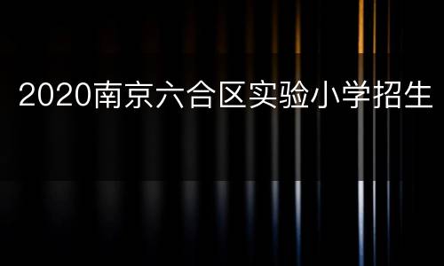 2020南京六合区实验小学招生