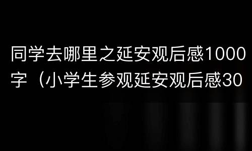 同学去哪里之延安观后感1000字（小学生参观延安观后感300字）