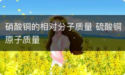 硝酸铜的相对分子质量 硫酸铜原子质量