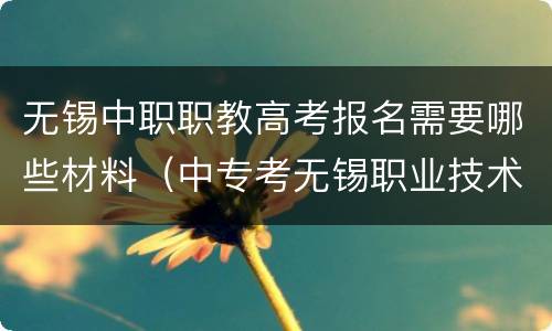 无锡中职职教高考报名需要哪些材料（中专考无锡职业技术学院）