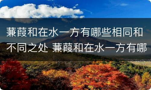 蒹葭和在水一方有哪些相同和不同之处 蒹葭和在水一方有哪些不同之处