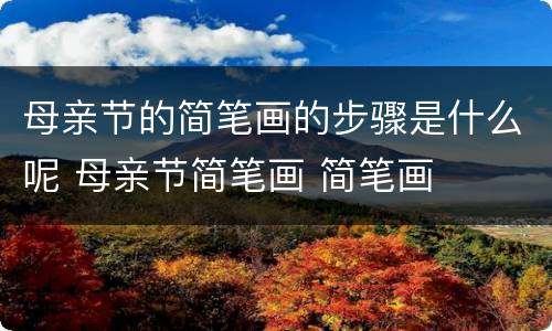 母亲节的简笔画的步骤是什么呢 母亲节简笔画 简笔画