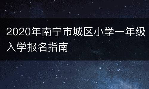 2020年南宁市城区小学一年级入学报名指南