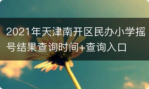 2021年天津南开区民办小学摇号结果查询时间+查询入口