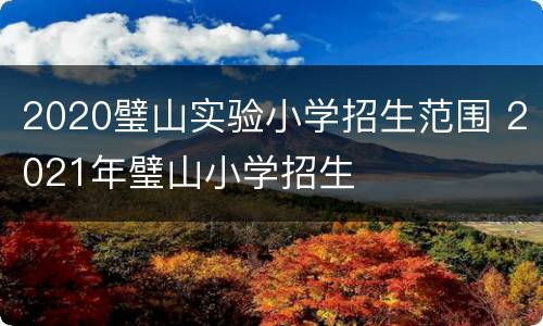 2020璧山实验小学招生范围 2021年璧山小学招生