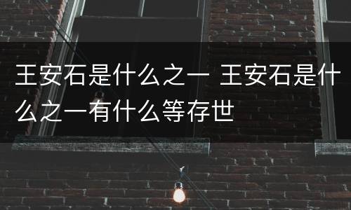 王安石是什么之一 王安石是什么之一有什么等存世