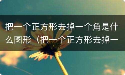 把一个正方形去掉一个角是什么图形（把一个正方形去掉一个角是什么图形呢）