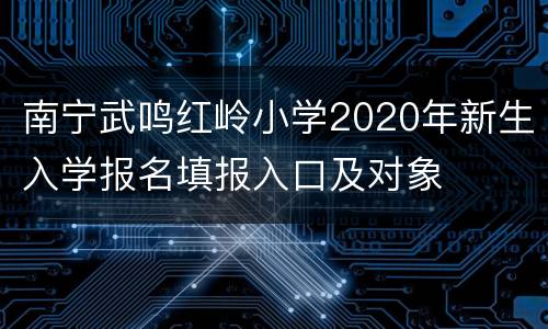 南宁武鸣红岭小学2020年新生入学报名填报入口及对象