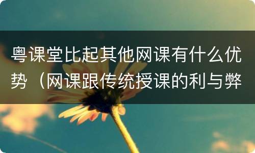 粤课堂比起其他网课有什么优势（网课跟传统授课的利与弊）