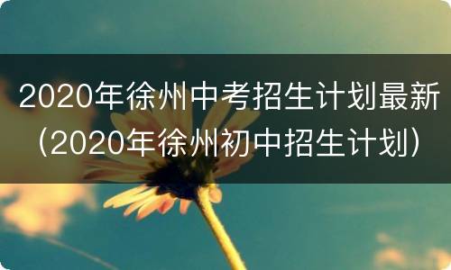 2020年徐州中考招生计划最新（2020年徐州初中招生计划）