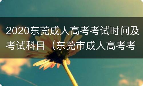 2020东莞成人高考考试时间及考试科目（东莞市成人高考考试时间）