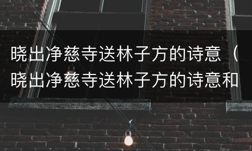 晓出净慈寺送林子方的诗意(晓出净慈寺送林子方的诗意和注释)