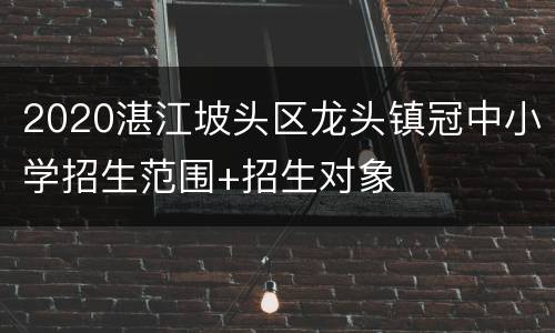 2020湛江坡头区龙头镇冠中小学招生范围+招生对象