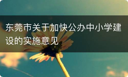 东莞市关于加快公办中小学建设的实施意见