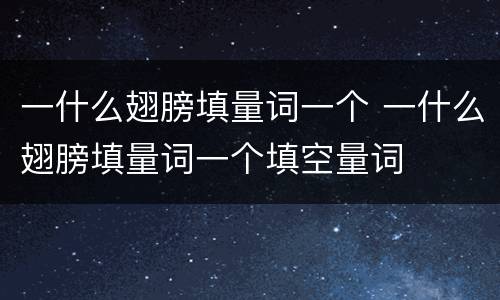 一什么翅膀填量词一个 一什么翅膀填量词一个填空量词