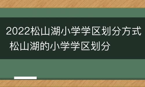 2022松山湖小学学区划分方式 松山湖的小学学区划分
