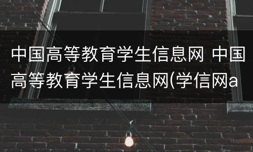 中国高等教育学生信息网 中国高等教育学生信息网(学信网app