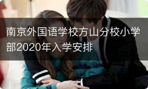 南京外国语学校方山分校小学部2020年入学安排