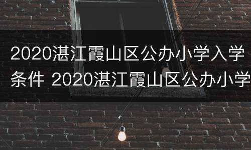 2020湛江霞山区公办小学入学条件 2020湛江霞山区公办小学入学条件是什么