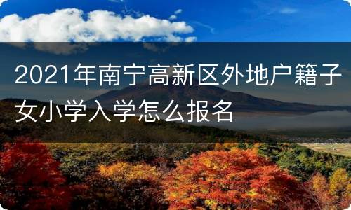 2021年南宁高新区外地户籍子女小学入学怎么报名