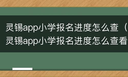 灵锡app小学报名进度怎么查（灵锡app小学报名进度怎么查看）