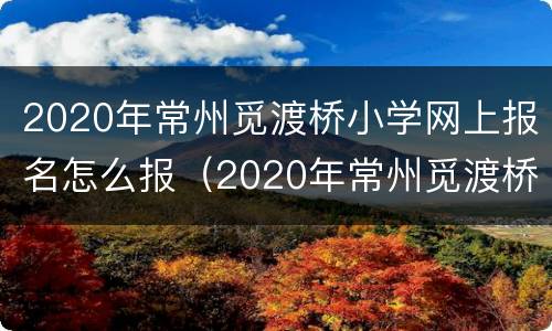 2020年常州觅渡桥小学网上报名怎么报（2020年常州觅渡桥小学网上报名怎么报的）