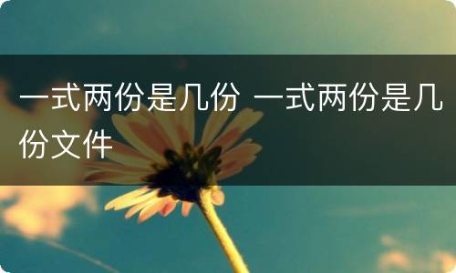一式两份是几份 一式两份是几份文件