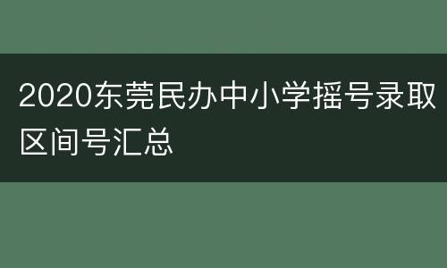 2020东莞民办中小学摇号录取区间号汇总