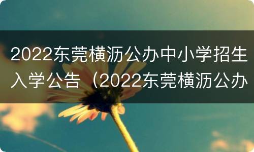 2022东莞横沥公办中小学招生入学公告（2022东莞横沥公办中小学招生入学公告表）