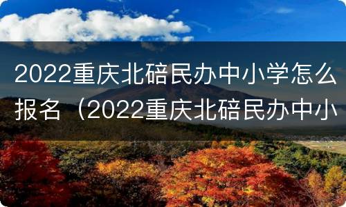 2022重庆北碚民办中小学怎么报名（2022重庆北碚民办中小学怎么报名的）