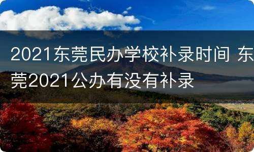 2021东莞民办学校补录时间 东莞2021公办有没有补录
