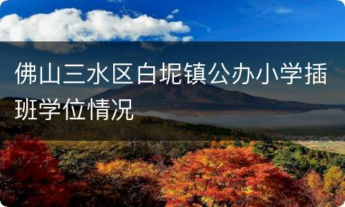 佛山三水区白坭镇公办小学插班学位情况