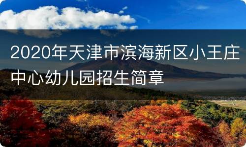 2020年天津市滨海新区小王庄中心幼儿园招生简章