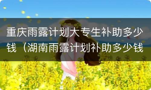 重庆雨露计划大专生补助多少钱（湖南雨露计划补助多少钱大专）