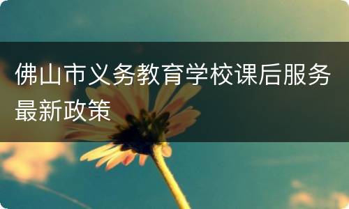 佛山市义务教育学校课后服务最新政策