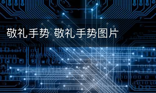 敬礼手势 敬礼手势图片