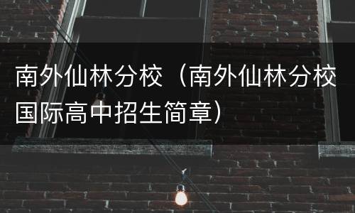 南外仙林分校（南外仙林分校国际高中招生简章）