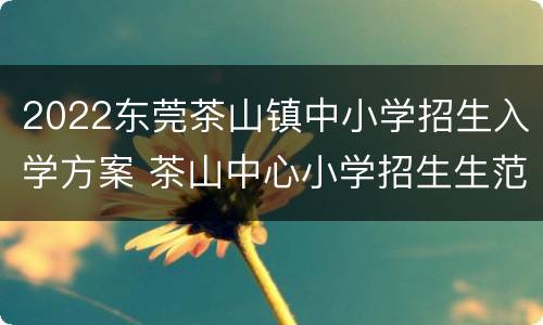 2022东莞茶山镇中小学招生入学方案 茶山中心小学招生生范围