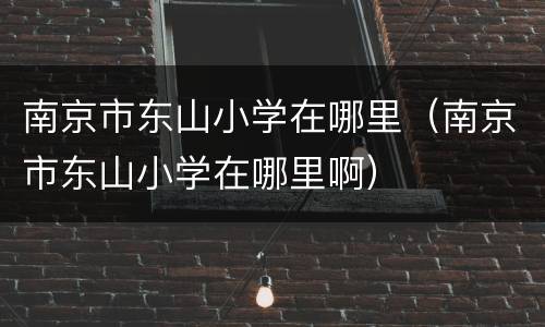 南京市东山小学在哪里（南京市东山小学在哪里啊）