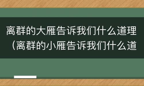 离群的大雁告诉我们什么道理（离群的小雁告诉我们什么道理）