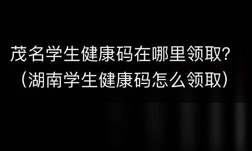 茂名学生健康码在哪里领取？（湖南学生健康码怎么领取）