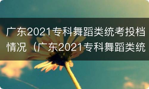 广东2021专科舞蹈类统考投档情况（广东2021专科舞蹈类统考投档情况表）