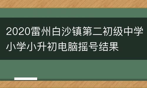 2020雷州白沙镇第二初级中学小学小升初电脑摇号结果