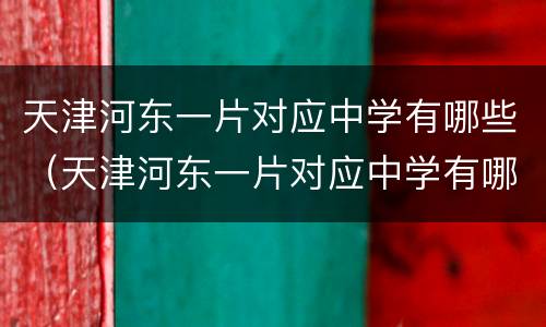 天津河东一片对应中学有哪些（天津河东一片对应中学有哪些学校）