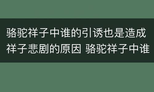 骆驼祥子中谁的引诱也是造成祥子悲剧的原因 骆驼祥子中谁造成了祥子的悲惨结局