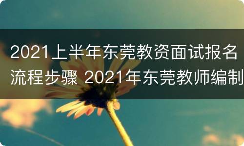 2021上半年东莞教资面试报名流程步骤 2021年东莞教师编制招聘考试报名