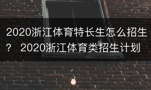 2020浙江体育特长生怎么招生？ 2020浙江体育类招生计划
