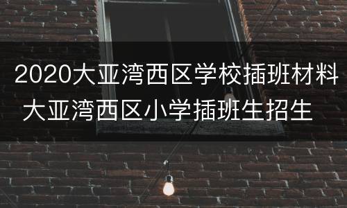 2020大亚湾西区学校插班材料 大亚湾西区小学插班生招生